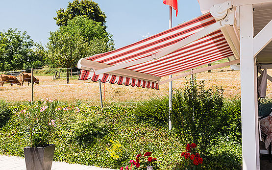 Bauer photo store toile6